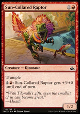 Raptor Gola-de-sol / Sun-Collared Raptor - Magic: The Gathering - MoxLand